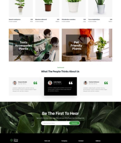 PhloxPro-Plants-Shop2